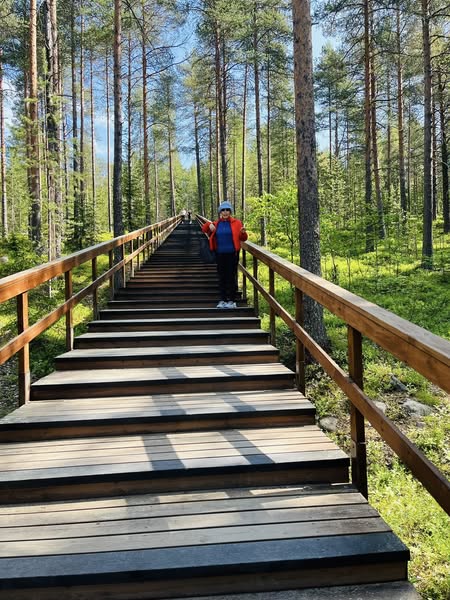 ロバニエミForest